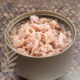 Plain Tuna